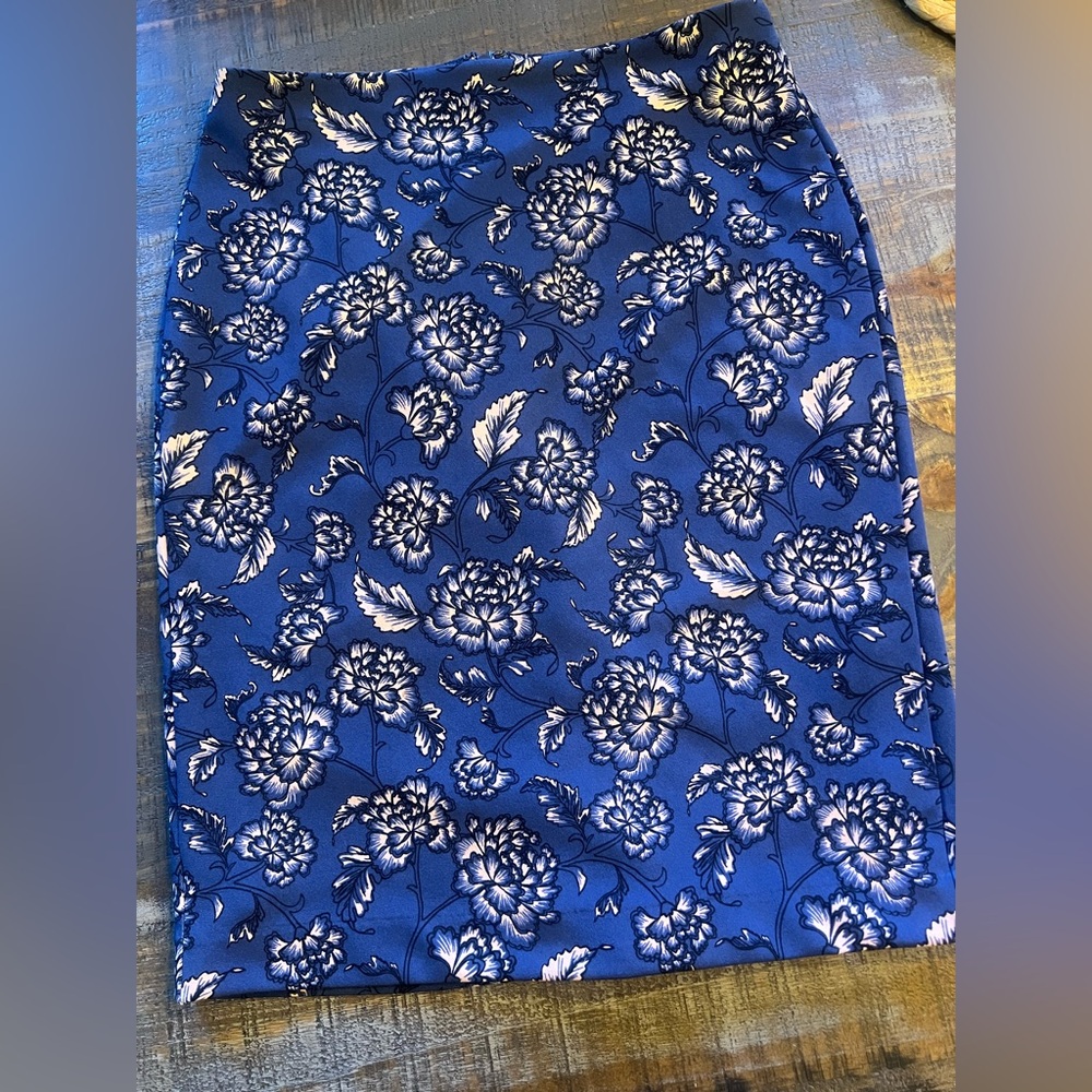 Business Pencil Skirt - Size 2 NWOT